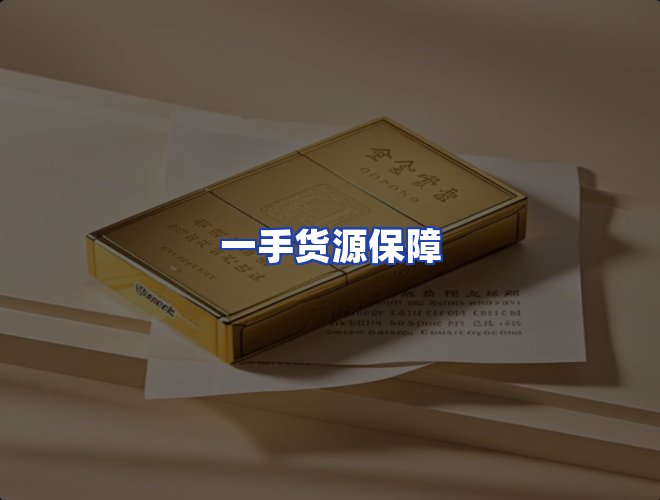 专业团队